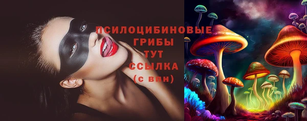 гашик Алексеевка