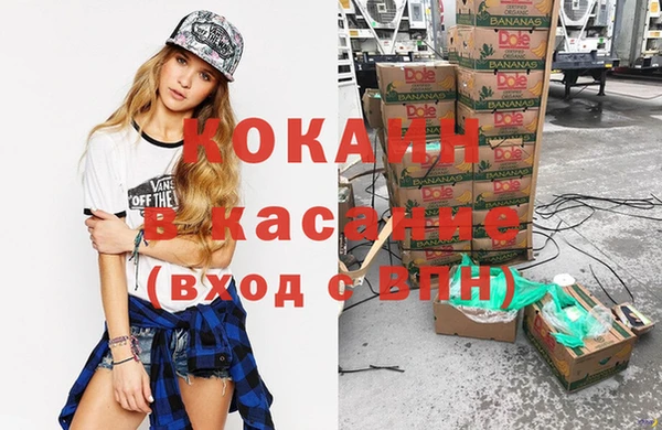 гашик Алексеевка