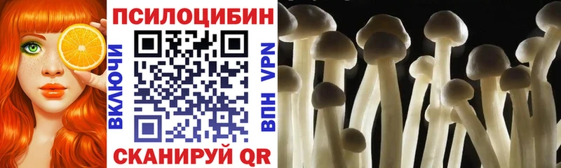 Галлюциногенные грибы прущие грибы  Купить где  Курчалой 