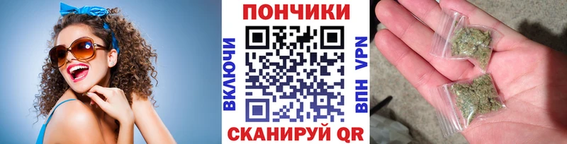 Купить где  Курчалой  Каннабис ГИДРОПОН 